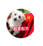 もちぞーのいる生活その2（個別スタンプ：2）