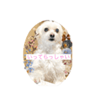 もちぞーのいる生活その2（個別スタンプ：10）