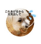 もちぞーのいる生活その2（個別スタンプ：14）