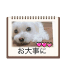 もちぞーのいる生活その2（個別スタンプ：16）
