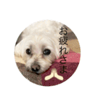 もちぞーのいる生活その2（個別スタンプ：18）