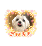 もちぞーのいる生活その2（個別スタンプ：22）