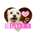 もちぞーのいる生活その2（個別スタンプ：23）