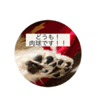 もちぞーのいる生活その2（個別スタンプ：26）