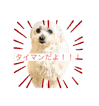 もちぞーのいる生活その2（個別スタンプ：31）