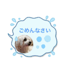 もちぞーのいる生活その2（個別スタンプ：32）