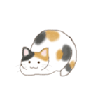 ねこなで(文字なし)（個別スタンプ：26）