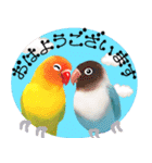 【ボタン＆コザクラインコ】動く！ペットたち（個別スタンプ：5）