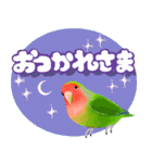 【ボタン＆コザクラインコ】動く！ペットたち（個別スタンプ：7）