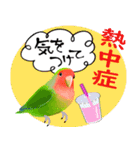 【ボタン＆コザクラインコ】動く！ペットたち（個別スタンプ：11）