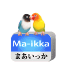 【ボタン＆コザクラインコ】動く！ペットたち（個別スタンプ：22）