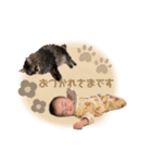 おはじさん（個別スタンプ：15）