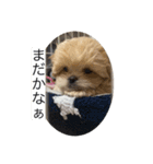 ムーチョスアミーゴ（個別スタンプ：2）