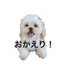 ムーチョスアミーゴ（個別スタンプ：16）