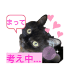 黒猫 ルナ院長71にゃんめ（個別スタンプ：5）