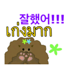 かわいい子犬YJ (タイ語、韓国語)（個別スタンプ：12）