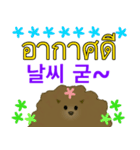 かわいい子犬YJ (タイ語、韓国語)（個別スタンプ：14）