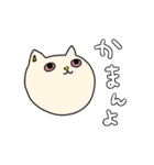 土佐弁を使う猫（個別スタンプ：5）