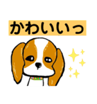 犬とかウサギとかのスタンプ（個別スタンプ：27）