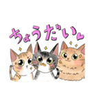 3びきのゆかいなねこさんたち（個別スタンプ：16）