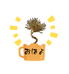 黒松ちゃんの日常（個別スタンプ：1）