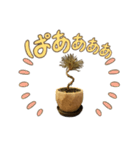 黒松ちゃんの日常（個別スタンプ：3）
