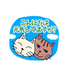 猫の顔いろいろ（個別スタンプ：2）