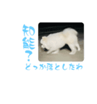 モカラニアン8（個別スタンプ：8）