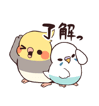 オカメ＆セキセイインコ らいふ（個別スタンプ：3）