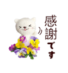 あみぐるみ 白ネコ（花）（個別スタンプ：14）