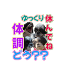 縦と横＆横と縦でまとめて会話スタンプ（個別スタンプ：5）