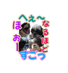 縦と横＆横と縦でまとめて会話スタンプ（個別スタンプ：14）