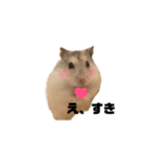 ゆきまるはむすたー（個別スタンプ：8）