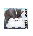 動く黒猫ハルくんとロビン4（個別スタンプ：2）