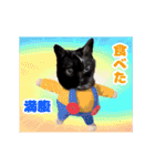 動く黒猫ハルくんとロビン4（個別スタンプ：13）