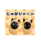 動く黒猫ハルくんとロビン4（個別スタンプ：18）