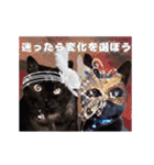 動く黒猫ハルくんとロビン4（個別スタンプ：24）