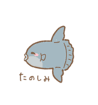 毎日使えるうみのあにまるズ（個別スタンプ：23）