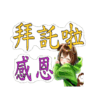 ハット・T・エリーとハムスターの日常04（個別スタンプ：11）