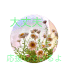 flowers smile be happy（個別スタンプ：6）