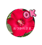 flowers smile be happy（個別スタンプ：8）