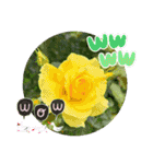 flowers smile be happy（個別スタンプ：18）