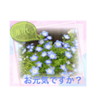 flowers smile be happy（個別スタンプ：19）