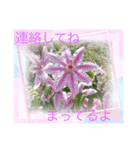 flowers smile be happy（個別スタンプ：22）