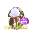 flowers smile be happy（個別スタンプ：24）