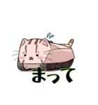 CAT-PILLER（個別スタンプ：6）