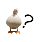 愉快な動物たちに癒される愉快な大人たち。（個別スタンプ：2）