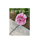 連絡するひらがな（個別スタンプ：5）