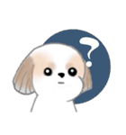 Stickers_Shih Tzu_ja シーズースタンプ（個別スタンプ：4）