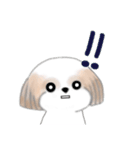 Stickers_Shih Tzu_ja シーズースタンプ（個別スタンプ：5）